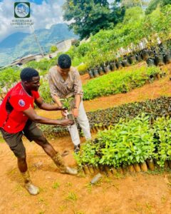 Read more about the article Shoutout to Our Morogoro Coordinator: Learning and Growing for a Greener Future