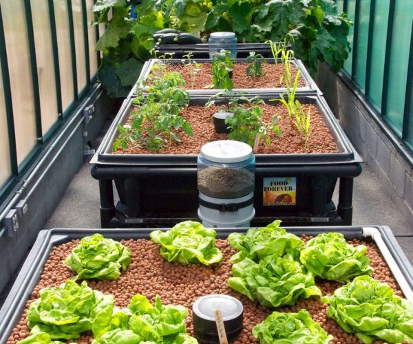 Here's a look at our sister company's, call