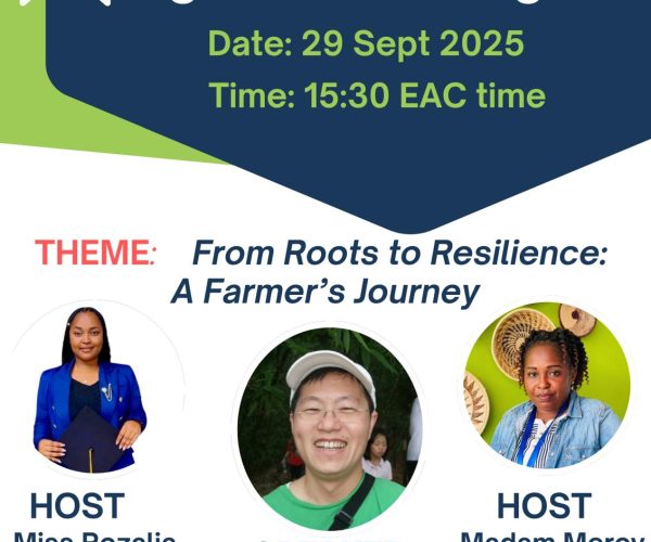 WhatsApp Image 2025-11-12 at 17.36.39