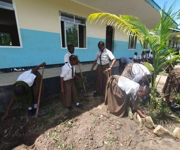 WhatsApp Image 2025-11-25 at 17.49.21